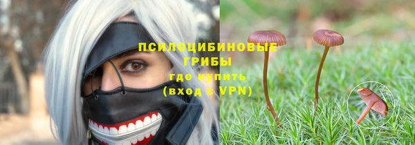 a pvp Дмитриев
