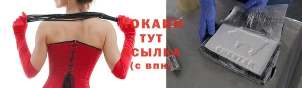apvp Удомля