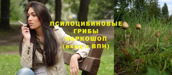 a pvp Дмитриев