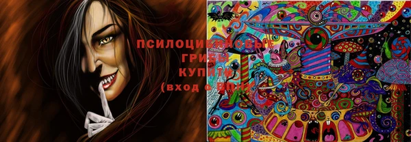 ГАЛЛЮЦИНОГЕННЫЕ ГРИБЫ Дмитров