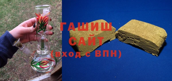 индика Галич